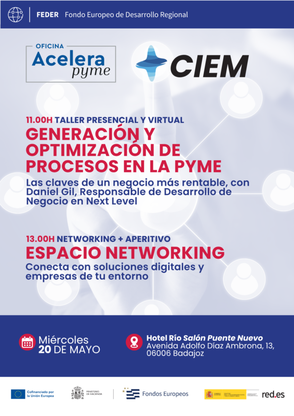 Generación y optimización de procesos en la PYME